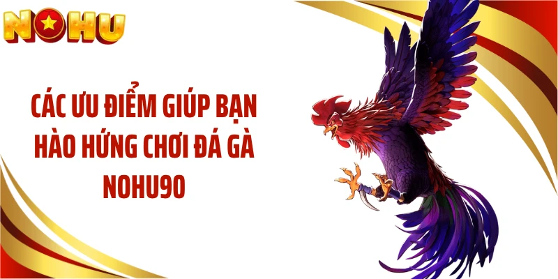 Các ưu điểm giúp bạn hào hứng chơi đá gà NOHU90