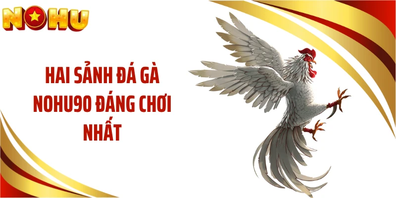 Hai sảnh đá gà NOHU90 đáng chơi nhất