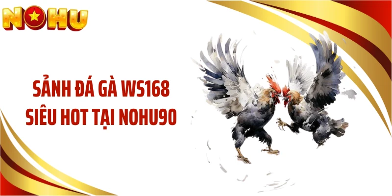 Sảnh đá gà WS168 siêu hot tại NOHU90