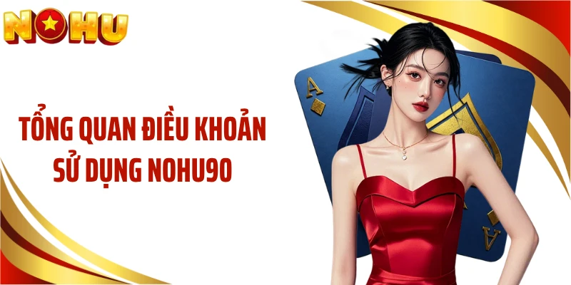 Tổng quan điều khoản sử dụng NOHU90