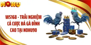 WS168 - Trải Nghiệm Cá Cược Đá Gà Đỉnh Cao Tại NOHU90